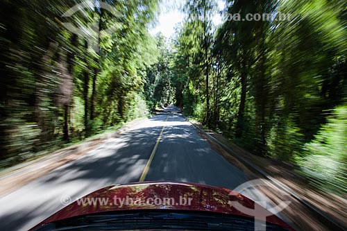  Car - Osorno province  - Osorno province - Chile