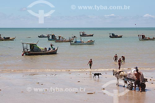  Trawler boats - Tambau Beach waterfront  - Joao Pessoa city - Paraiba state (PB) - Brazil