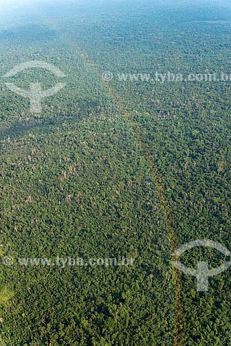  Aerial photo of Rainbow over of the Amazon Rainforest  - Sao Felix do Xingu city - Para state (PA) - Brazil