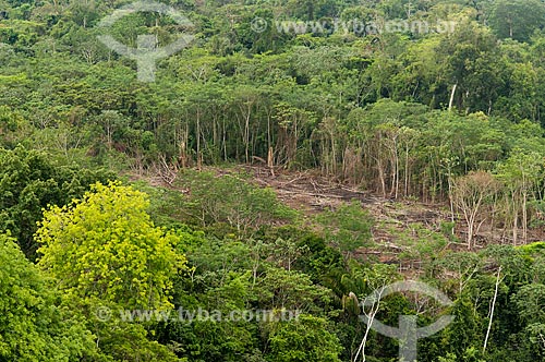  Aerial photo of clearing in Amazon Rainforest to subsistence farming near to Moikarako Tribe - Kayapo Indigenous Land  - Sao Felix do Xingu city - Para state (PA) - Brazil