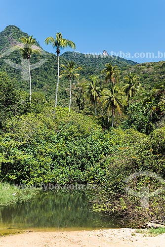  Trail to Papagaio Peak  - Angra dos Reis city - Rio de Janeiro state (RJ) - Brazil