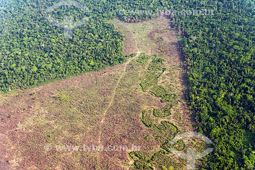  Aerial photo of snippet of Amazon Rainforest deforested for pasture  - Tucuma city - Para state (PA) - Brazil