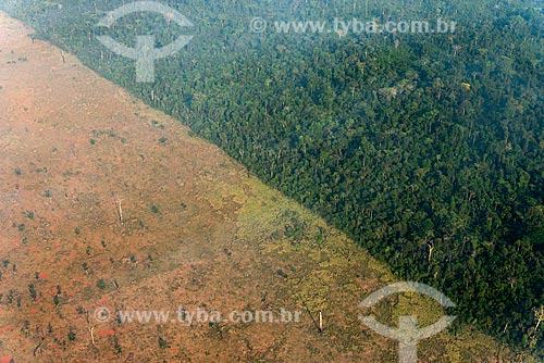  Aerial photo of snippet of Amazon Rainforest deforested for pasture  - Tucuma city - Para state (PA) - Brazil