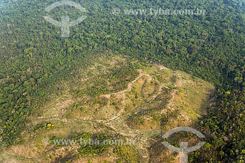  Aerial photo of snippet of Amazon Rainforest deforested for pasture  - Tucuma city - Para state (PA) - Brazil