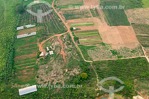  Aerial photo of kitchen gardens - rural zone of Tucuma city  - Tucuma city - Para state (PA) - Brazil