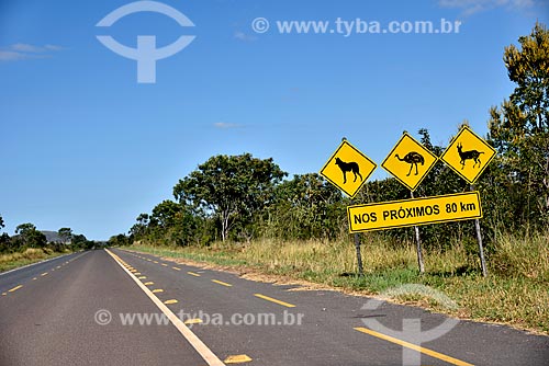  Bike lane and signpost of presence of wild animals on the highway GO-239 - Chapada dos Veadeiros National Park  - Alto Paraiso de Goias city - Goias state (GO) - Brazil