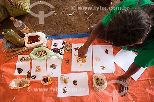  Seeds available for exchange - Seed exchange fair - Moikarako Tribe - Kayapo Indigenous Land - with the participation of other tribes and ethnic groups  - Sao Felix do Xingu city - Para state (PA) - Brazil