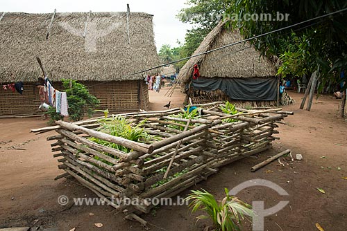  Acai seeding - Moikarako Tribe - Kayapo Indigenous Land - protected against children and animals  - Sao Felix do Xingu city - Para state (PA) - Brazil