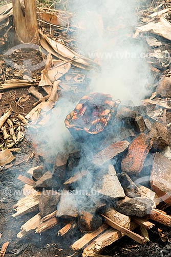  Red-footed tortoises (Chelonoidis carbonaria) roasting - Moikarako Tribe - Kayapo Indigenous Land  - Sao Felix do Xingu city - Para state (PA) - Brazil