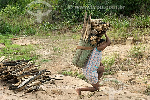  Indian woman carrying fuelwood - Moikarako Tribe - Kayapo Indigenous Land  - Sao Felix do Xingu city - Para state (PA) - Brazil