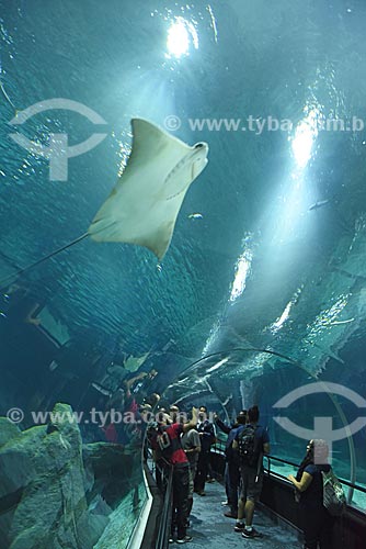  Visitors watching Stingray - AquaRio - marine aquarium of the city of Rio de Janeiro  - Rio de Janeiro city - Rio de Janeiro state (RJ) - Brazil