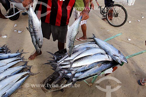  Informal trade of fish on the banks of the Mucuripe Beach  - Fortaleza city - Ceara state (CE) - Brazil