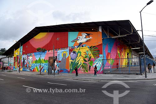  Shed with graffiti - portuary zone during ArtRua  - Rio de Janeiro city - Rio de Janeiro state (RJ) - Brazil