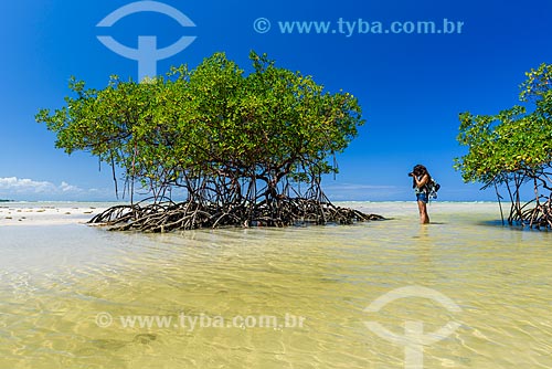  Photographer - mangrove - Encanto Beach  - Cairu city - Bahia state (BA) - Brazil