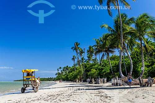  Carriage ride - Encanto Beach waterfront  - Cairu city - Bahia state (BA) - Brazil