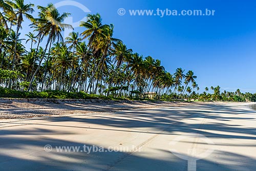  View of Garapua Beach waterfront  - Cairu city - Bahia state (BA) - Brazil