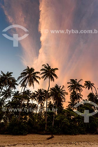  View of the Morere Beach waterfront during sunset  - Cairu city - Bahia state (BA) - Brazil