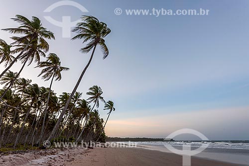  Cueira Beach waterfront  - Cairu city - Bahia state (BA) - Brazil