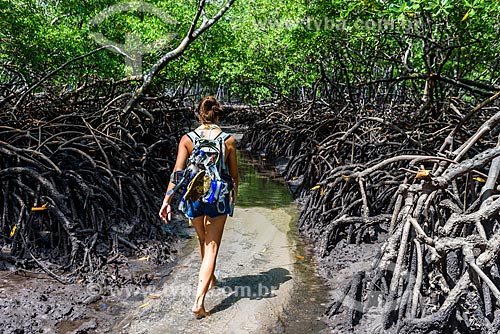  Mangroves between Tip of Castelhanos and Bainema Beach  - Cairu city - Bahia state (BA) - Brazil