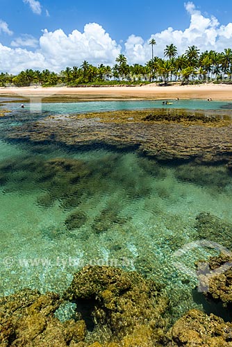  Natural pools - Taipus de fora beach  - Marau city - Bahia state (BA) - Brazil