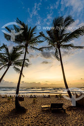  Dawn - Taipus de fora beach waterfront  - Marau city - Bahia state (BA) - Brazil