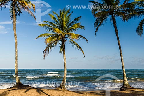  Cassange Beach waterfront  - Marau city - Bahia state (BA) - Brazil