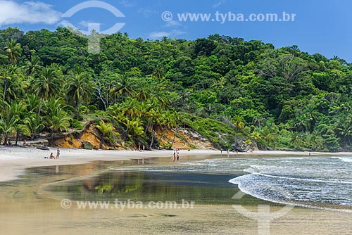  Engenhoca Beach waterfront - near to river mouth of the Burundanga River  - Itacare city - Bahia state (BA) - Brazil