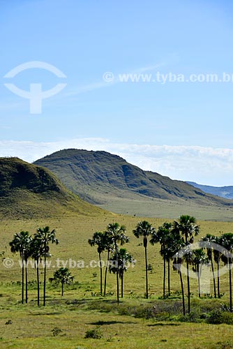  View of the Maytrea Garden - Chapada dos Veadeiros National Park  - Alto Paraiso de Goias city - Goias state (GO) - Brazil