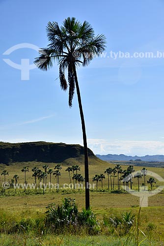  View of the Maytrea Garden - Chapada dos Veadeiros National Park  - Alto Paraiso de Goias city - Goias state (GO) - Brazil