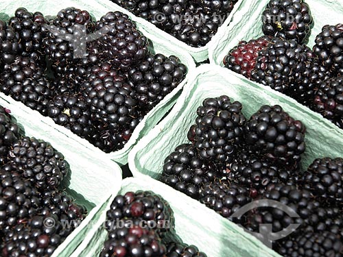  Boxes of blackberries for sale at the Albert Cuyp Markt  - Amsterdam city - North Holland - Netherlands