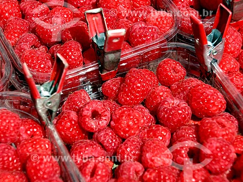  Boxes of raspberry for sale at the Albert Cuyp Markt  - Amsterdam city - North Holland - Netherlands
