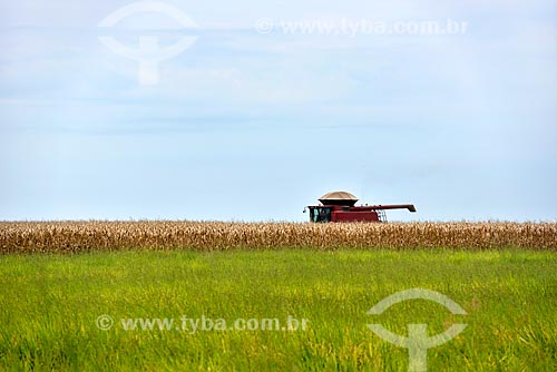  Corn harvest  - Planaltina city - Goias state (GO) - Brazil