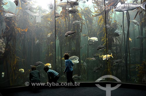  Children watching fish in the gallery Kelp Forest Exhibit - Two Oceans Aquarium  - Cape Town city - Western Cape province - South Africa
