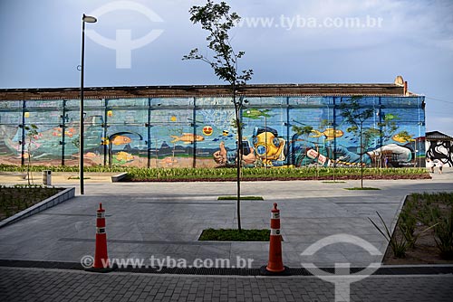  Graffiti in warehouses of Gamboa Pier - Rio de Janeiro Port - Mayor Luiz Paulo Conde Waterfront  - Rio de Janeiro city - Rio de Janeiro state (RJ) - Brazil