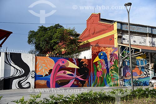  Graffiti in warehouses of Gamboa Pier - Rio de Janeiro Port - Mayor Luiz Paulo Conde Waterfront  - Rio de Janeiro city - Rio de Janeiro state (RJ) - Brazil