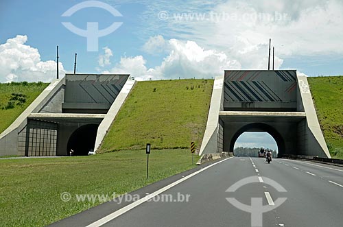  Bandeirantes Highway (SP-348) tunnel under of railroad  - Campinas city - Sao Paulo state (SP) - Brazil