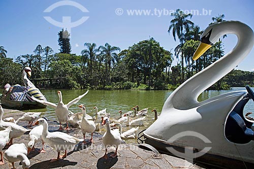  Geese and paddle boat on the banks of the Sao Lourenco Lake - Aguas de Sao Lourenço Park  - Sao Lourenco city - Minas Gerais state (MG) - Brazil