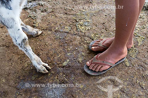  Detail of calf foot and foot of boy - Serra Azul Farm  - Carmo de Minas city - Minas Gerais state (MG) - Brazil