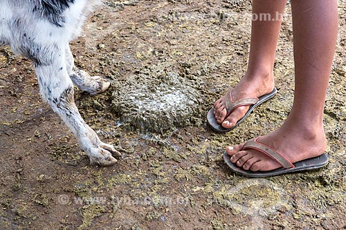  Detail of calf foot and foot of boy amid the manure - Serra Azul Farm  - Carmo de Minas city - Minas Gerais state (MG) - Brazil