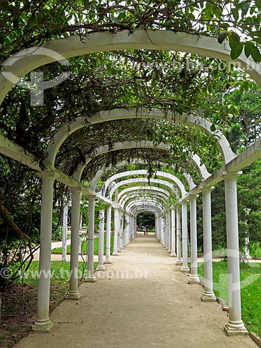  Pergola - Botanical Garden of Rio de Janeiro  - Rio de Janeiro city - Rio de Janeiro state (RJ) - Brazil