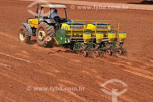  Tractor making the mechanized planting of corn  - Mirassol city - Sao Paulo state (SP) - Brazil