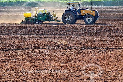  Tractor making the mechanized planting of corn  - Mirassol city - Sao Paulo state (SP) - Brazil