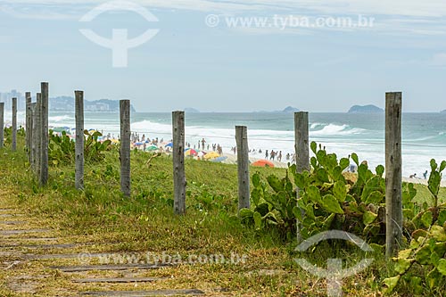  Coastal vegetation - Reserva Beach  - Rio de Janeiro city - Rio de Janeiro state (RJ) - Brazil
