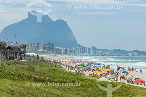  Coastal vegetation - Reserva Beach  - Rio de Janeiro city - Rio de Janeiro state (RJ) - Brazil