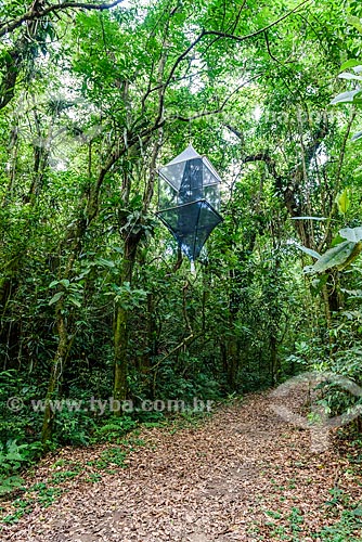  Researchers arming trap to catch bats - Guapiacu Ecological Reserve  - Cachoeiras de Macacu city - Rio de Janeiro state (RJ) - Brazil