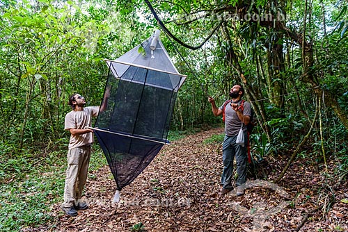  Researchers arming trap to catch bats - Guapiacu Ecological Reserve  - Cachoeiras de Macacu city - Rio de Janeiro state (RJ) - Brazil