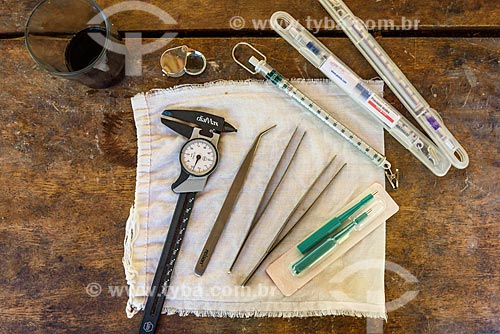  Detail of instruments used by researchers to identify captured bats - Guapiacu Ecological Reserve  - Cachoeiras de Macacu city - Rio de Janeiro state (RJ) - Brazil