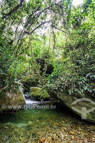  Bromelias Well (Bromeliads Well) - Serrinha do Alambari Environmental Protection Area  - Resende city - Rio de Janeiro state (RJ) - Brazil