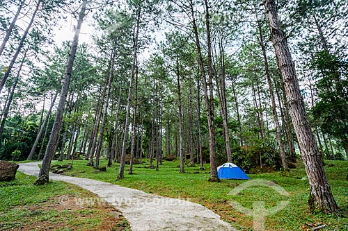  Tent - Camping Club of Brazil - Serrinha do Alambari Environmental Protection Area  - Resende city - Rio de Janeiro state (RJ) - Brazil