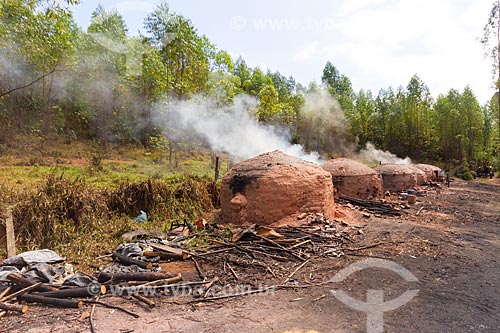  Oven used to production of charcoal  - Guarani city - Minas Gerais state (MG) - Brazil